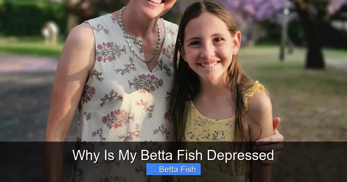 Why Is My Betta Fish Depressed
