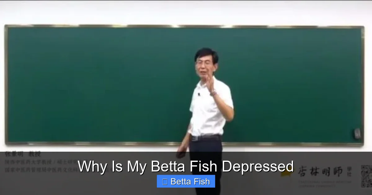 Why Is My Betta Fish Depressed