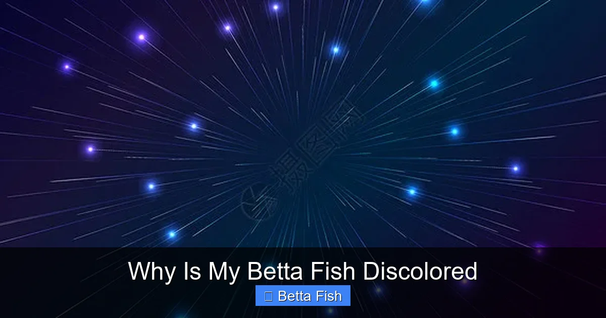 Why Is My Betta Fish Discolored