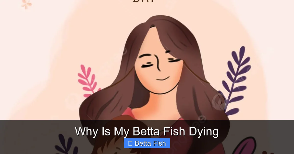 Why Is My Betta Fish Dying