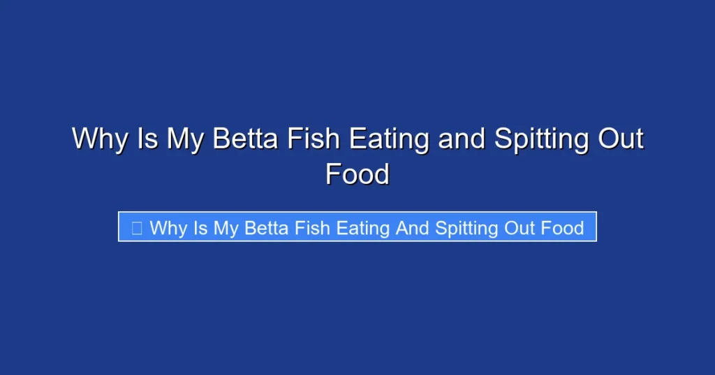 Why Is My Betta Fish Eating and Spitting Out Food
