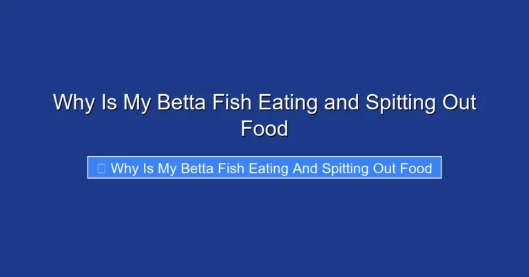 Why Is My Betta Fish Eating and Spitting Out Food