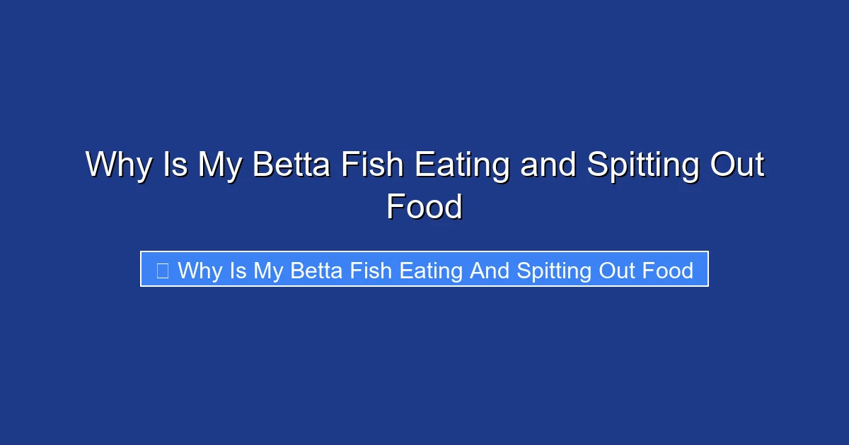 Why Is My Betta Fish Eating and Spitting Out Food