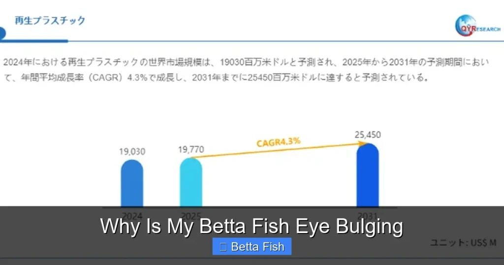 Why Is My Betta Fish Eye Bulging