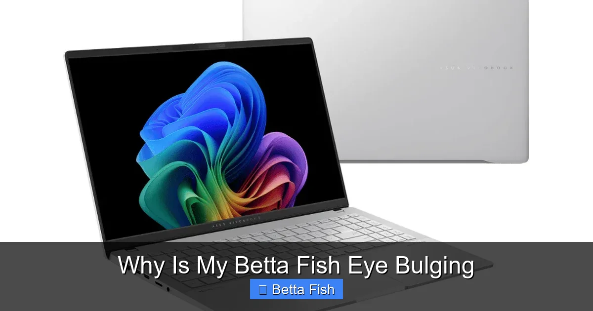 Why Is My Betta Fish Eye Bulging