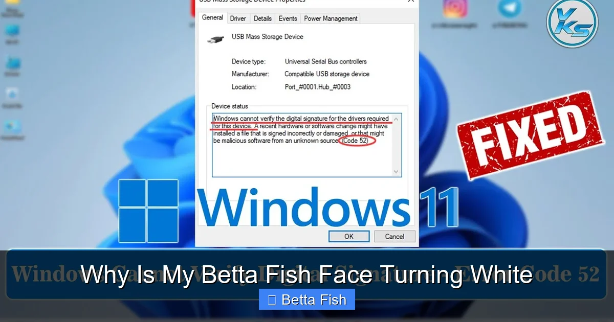 Why Is My Betta Fish Face Turning White