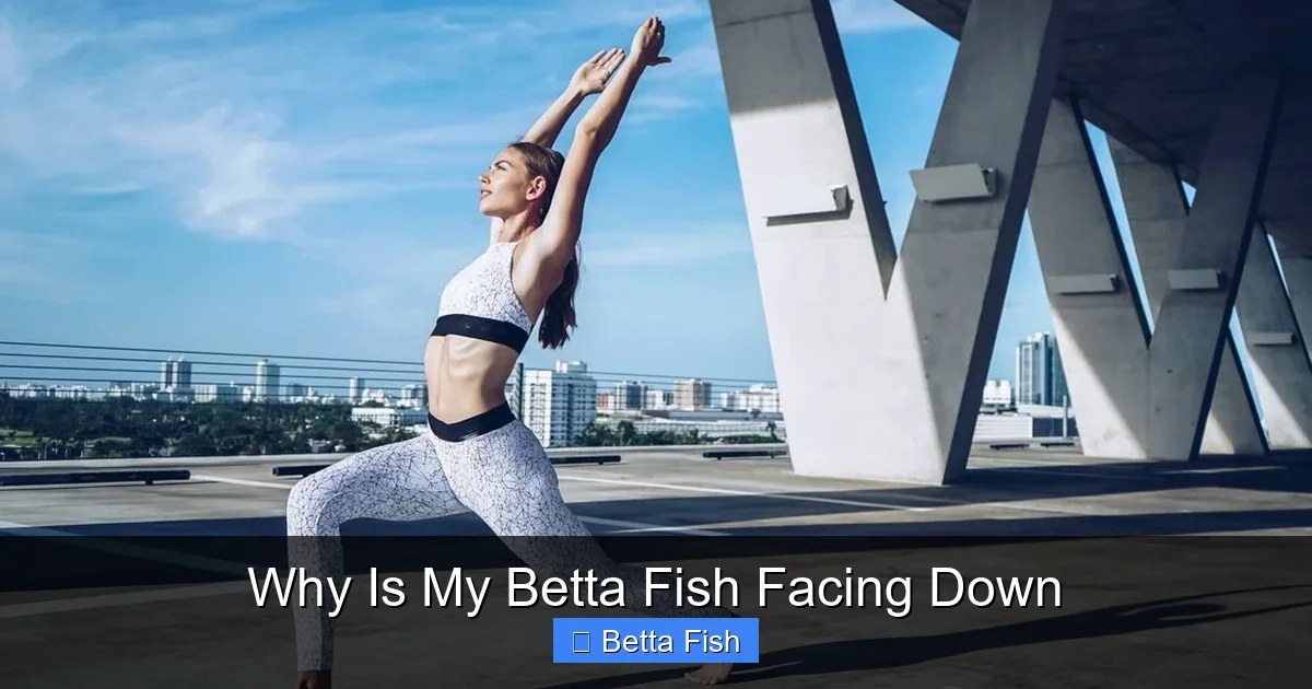 Why Is My Betta Fish Facing Down