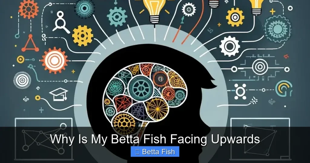 Why Is My Betta Fish Facing Upwards