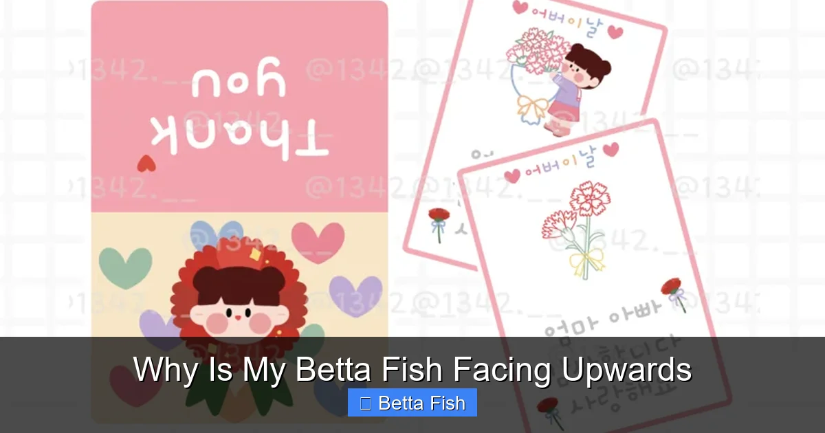 Why Is My Betta Fish Facing Upwards
