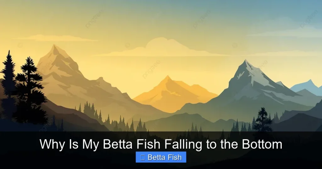 Why Is My Betta Fish Falling to the Bottom