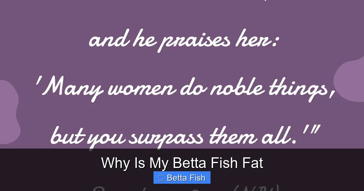 Why Is My Betta Fish Fat