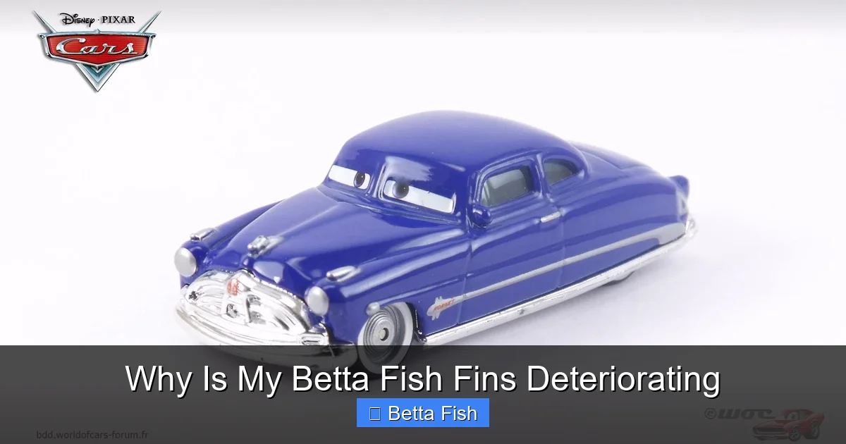 Why Is My Betta Fish Fins Deteriorating