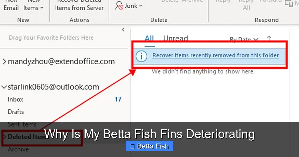 Why Is My Betta Fish Fins Deteriorating