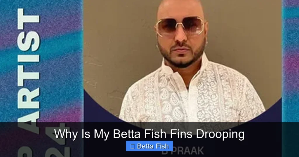 Why Is My Betta Fish Fins Drooping