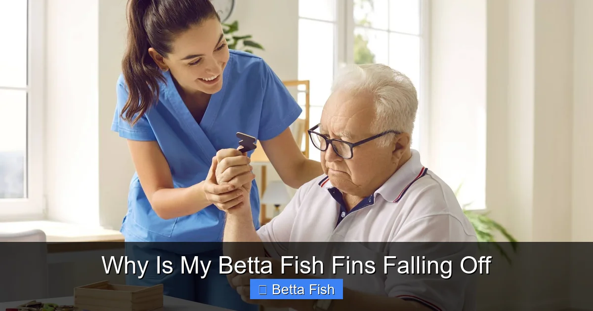 Why Is My Betta Fish Fins Falling Off