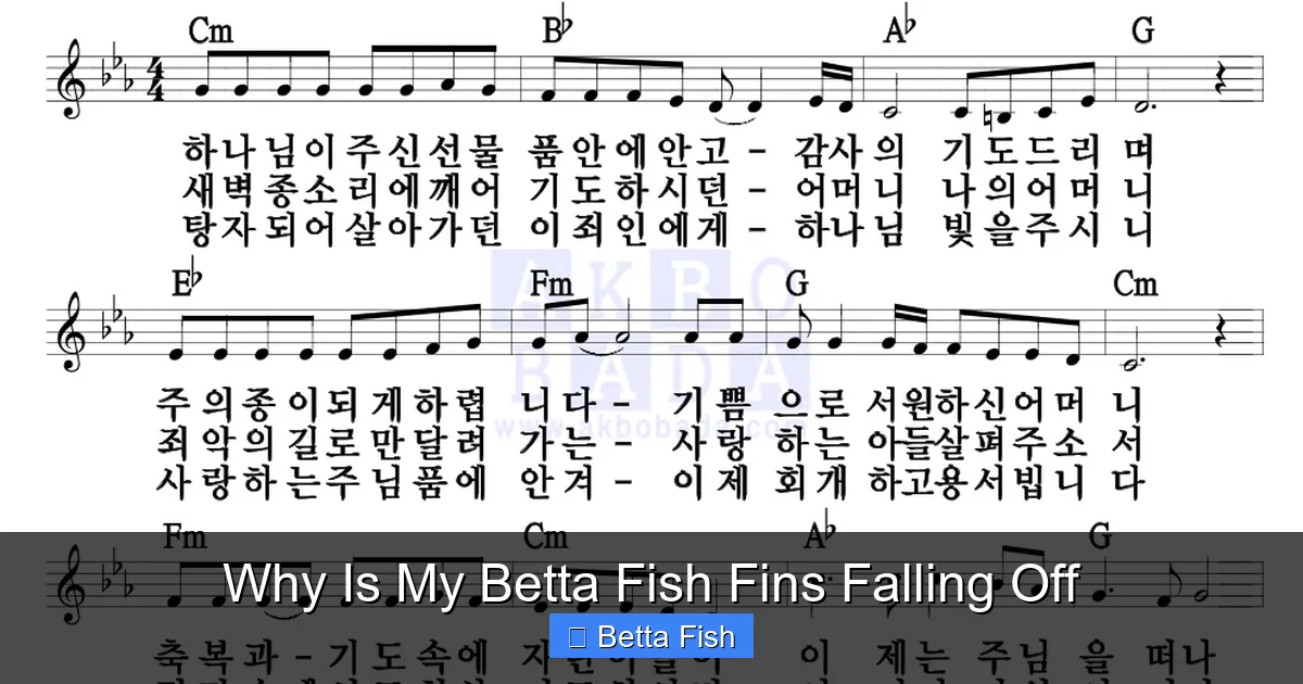 Why Is My Betta Fish Fins Falling Off