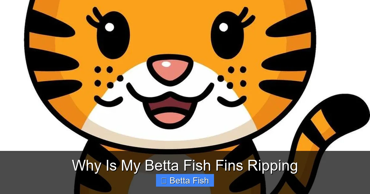 Why Is My Betta Fish Fins Ripping
