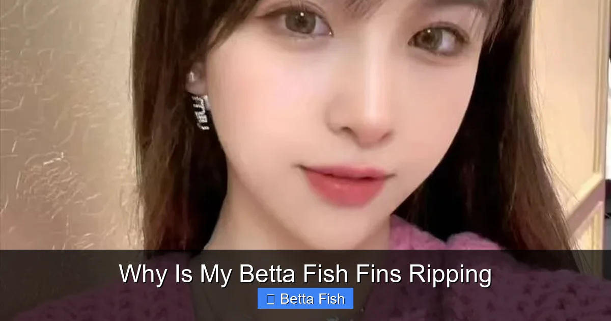 Why Is My Betta Fish Fins Ripping