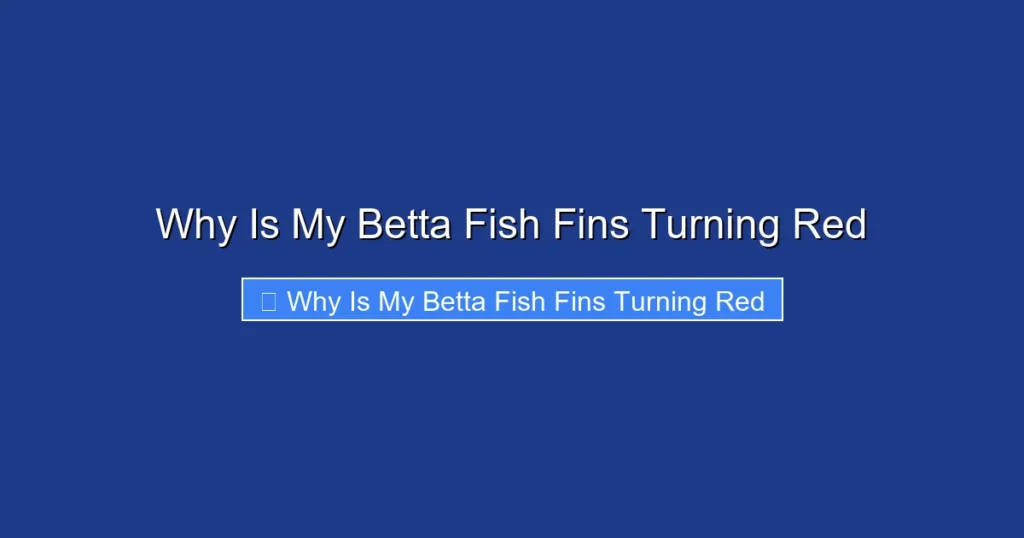 Why Is My Betta Fish Fins Turning Red