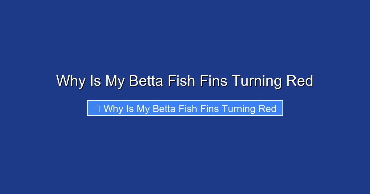 Why Is My Betta Fish Fins Turning Red