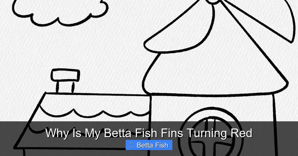 Why Is My Betta Fish Fins Turning Red
