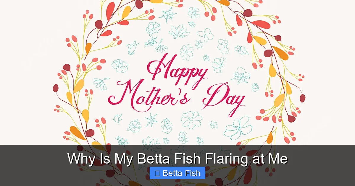 Why Is My Betta Fish Flaring at Me