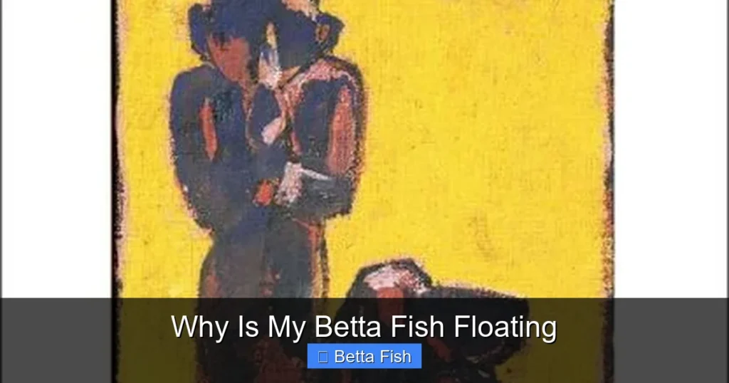 Why Is My Betta Fish Floating