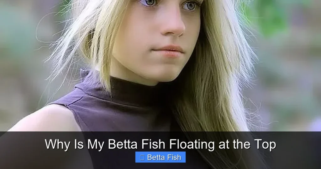 Why Is My Betta Fish Floating at the Top