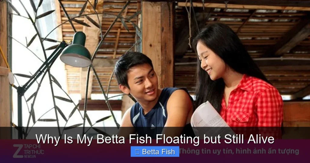Why Is My Betta Fish Floating but Still Alive