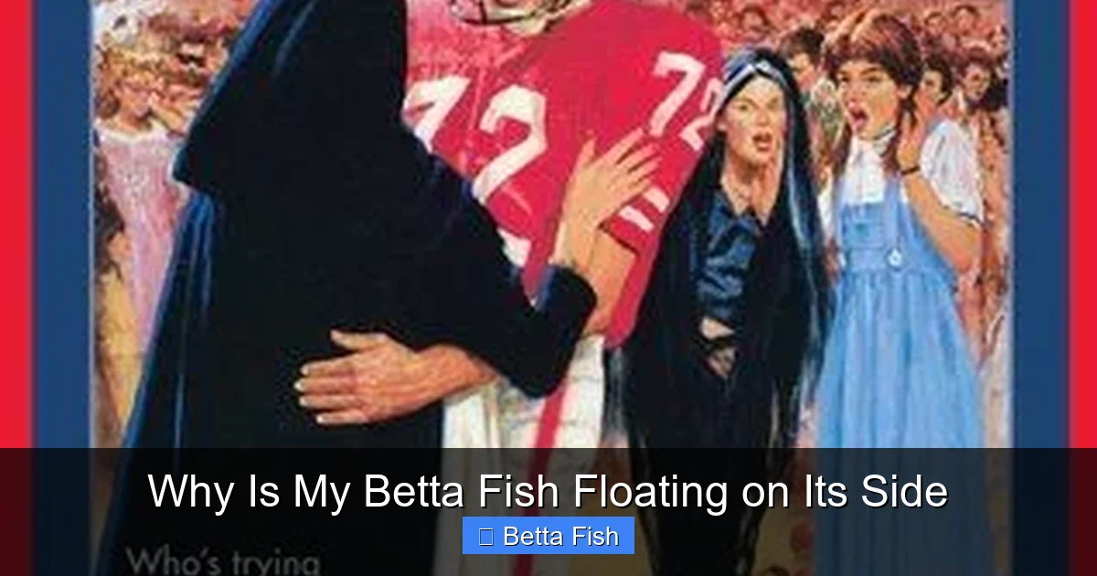 Why Is My Betta Fish Floating on Its Side