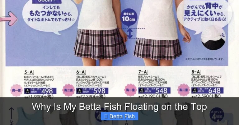 Why Is My Betta Fish Floating on the Top