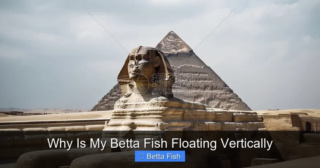 Why Is My Betta Fish Floating Vertically