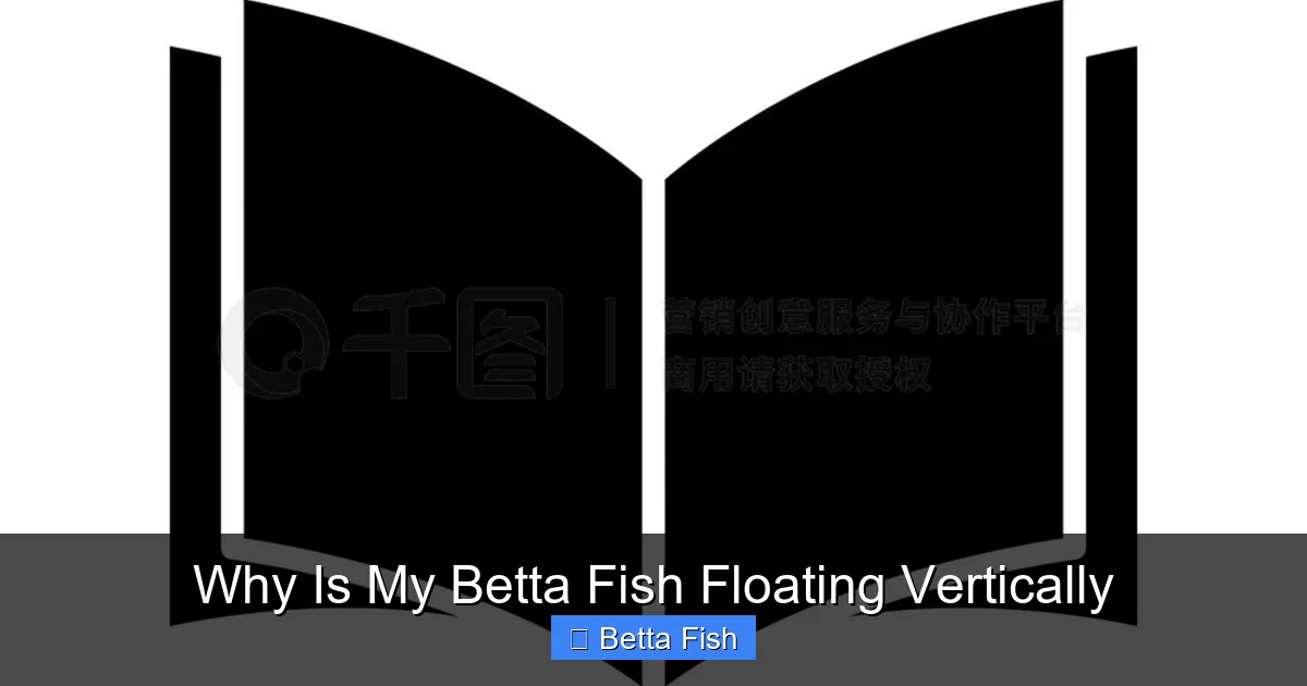 Why Is My Betta Fish Floating Vertically