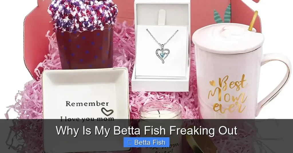 Why Is My Betta Fish Freaking Out