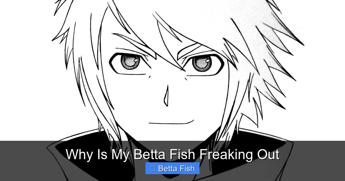 Why Is My Betta Fish Freaking Out