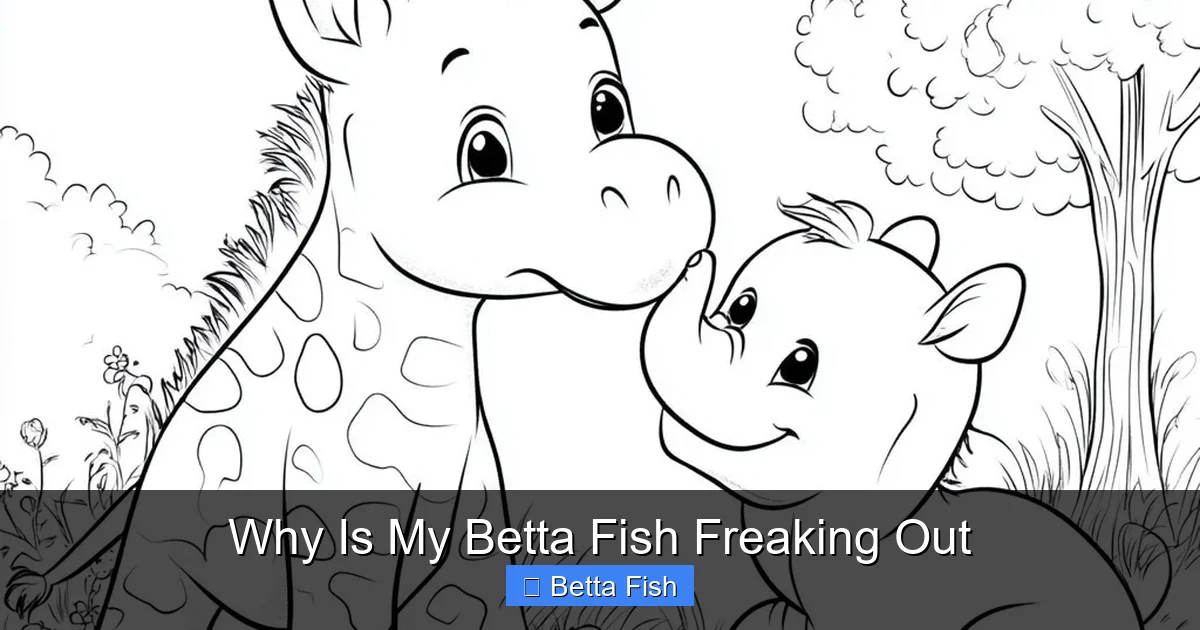 Why Is My Betta Fish Freaking Out