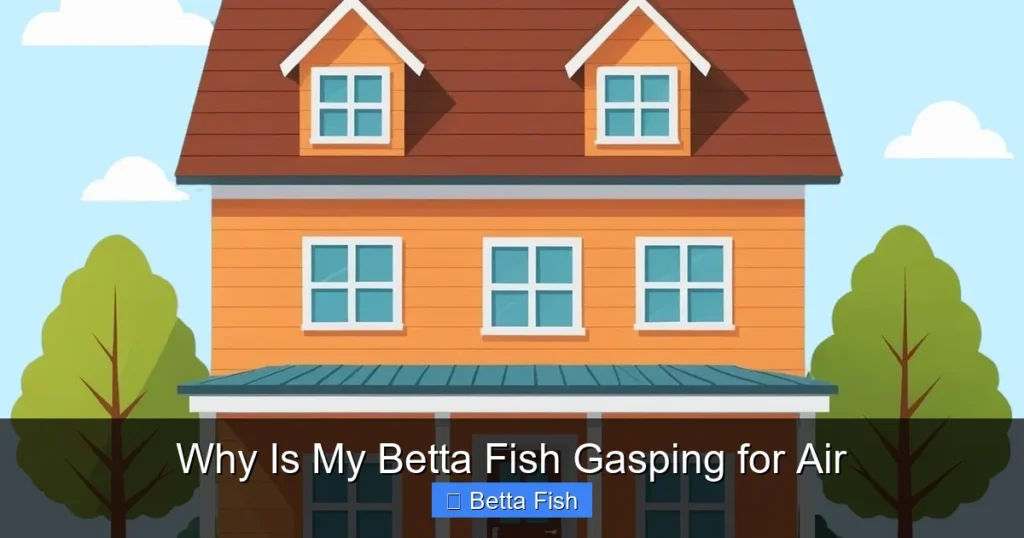 Why Is My Betta Fish Gasping for Air