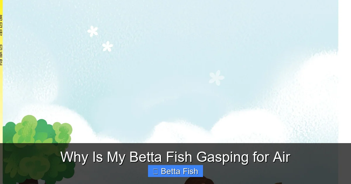 Why Is My Betta Fish Gasping for Air