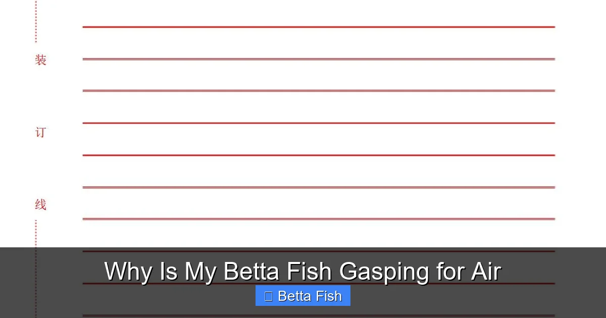 Why Is My Betta Fish Gasping for Air