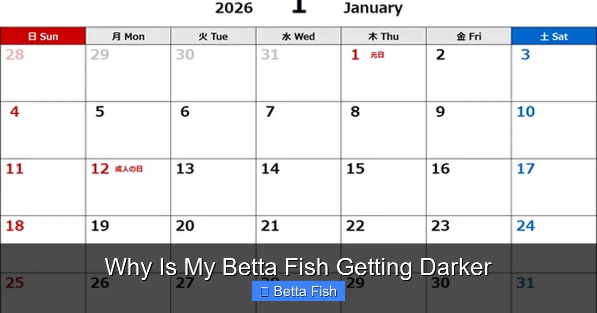 Why Is My Betta Fish Getting Darker