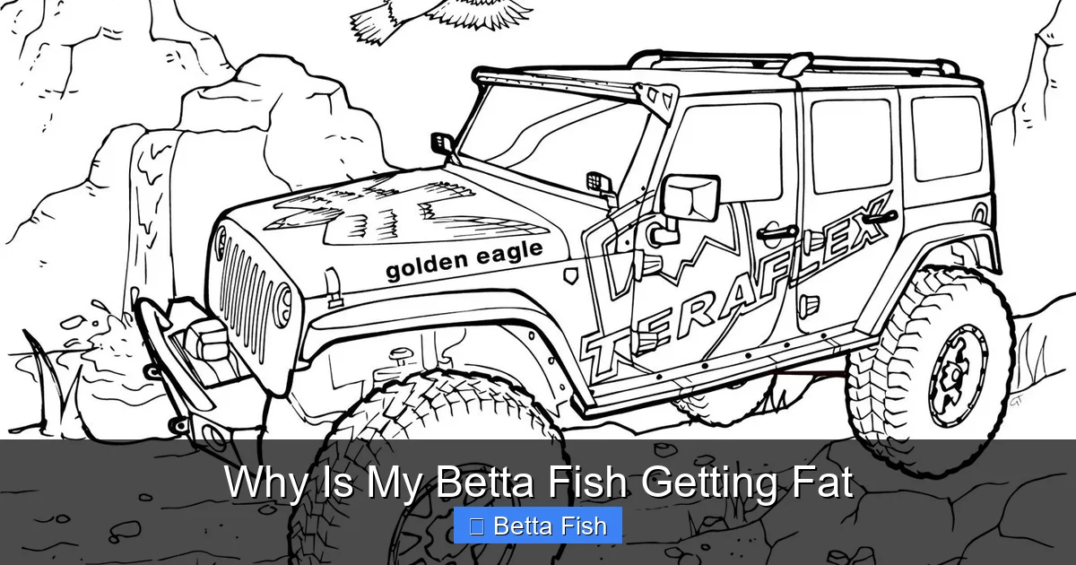 Why Is My Betta Fish Getting Fat