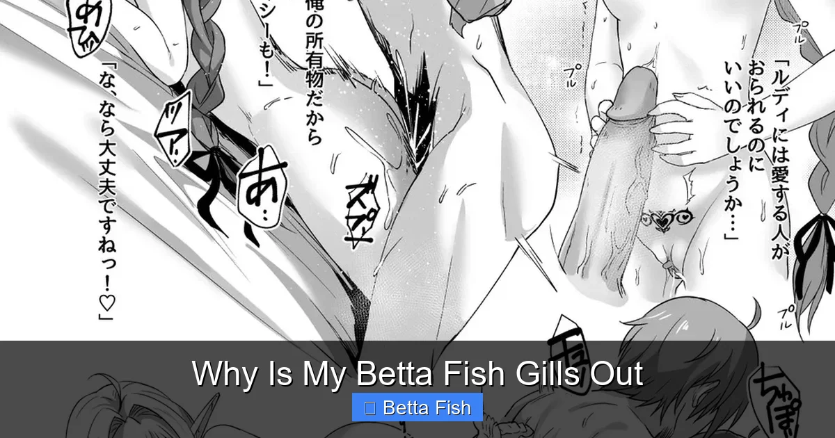 Why Is My Betta Fish Gills Out