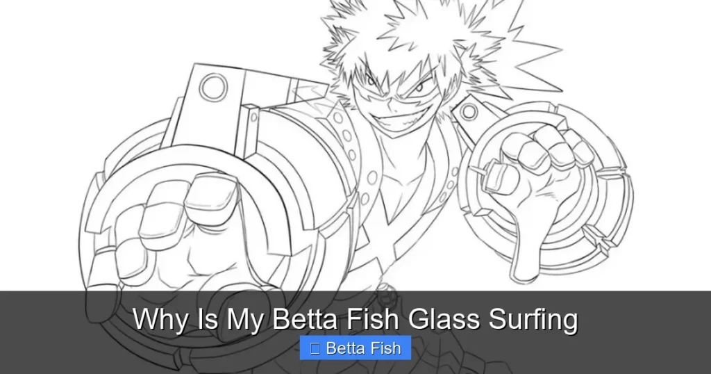 Why Is My Betta Fish Glass Surfing