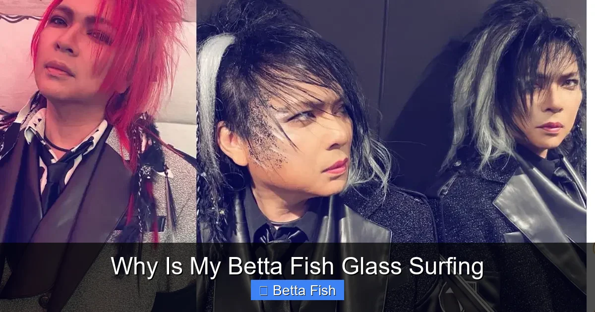 Why Is My Betta Fish Glass Surfing