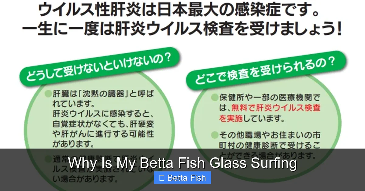 Why Is My Betta Fish Glass Surfing