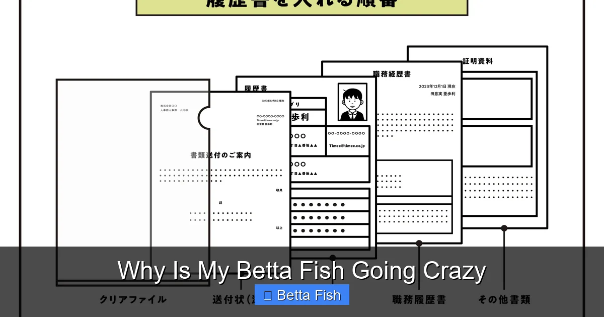 Why Is My Betta Fish Going Crazy