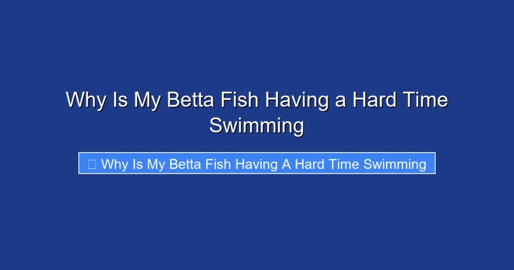 Why Is My Betta Fish Having a Hard Time Swimming