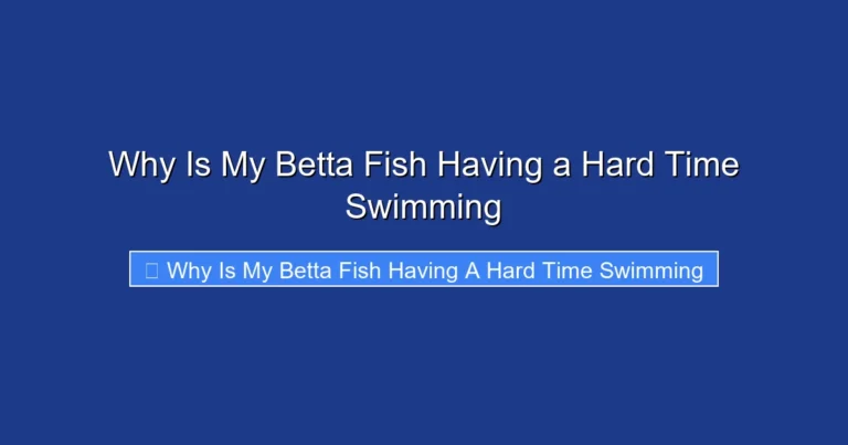 Why Is My Betta Fish Having a Hard Time Swimming