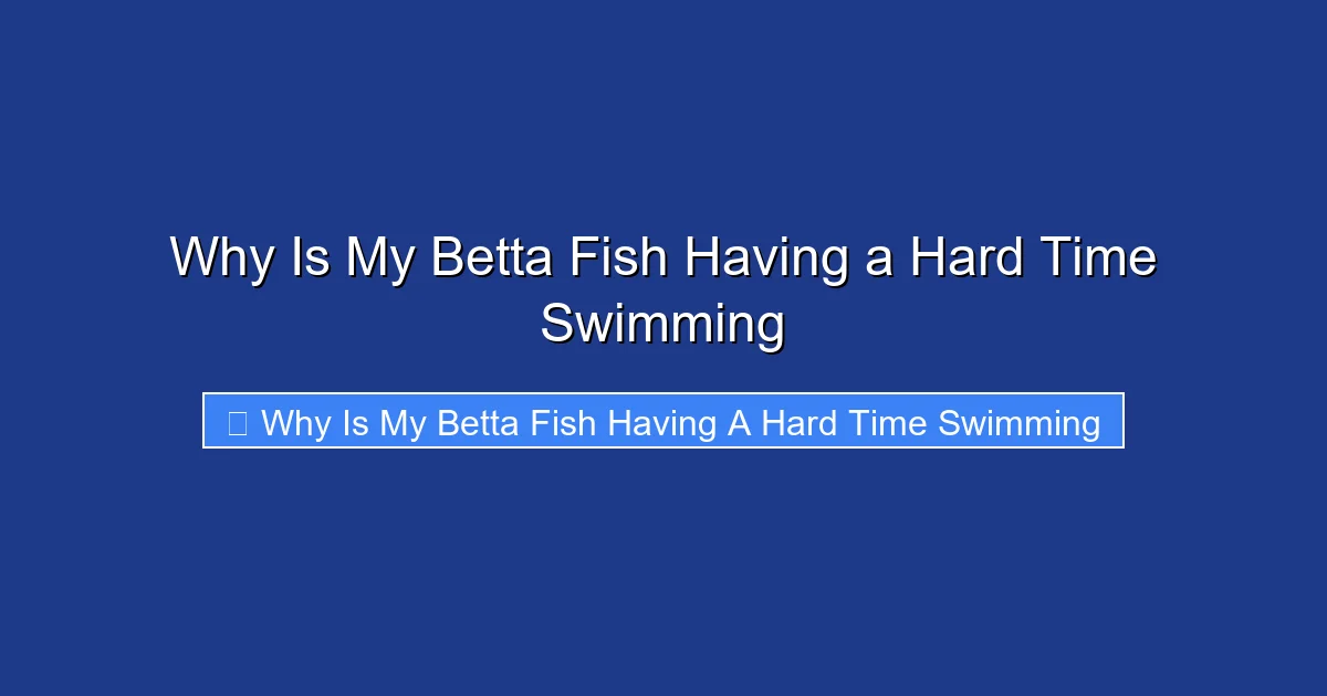 Why Is My Betta Fish Having a Hard Time Swimming