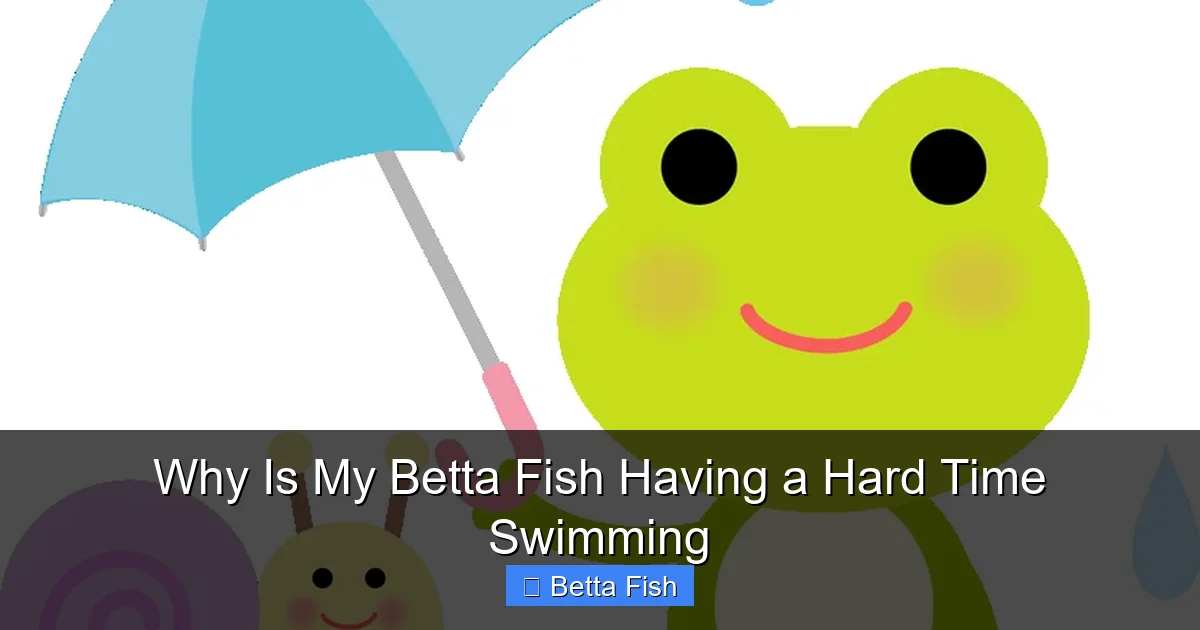 Why Is My Betta Fish Having a Hard Time Swimming